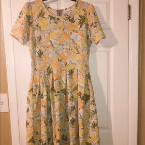 LuLaRoe Amelia dress